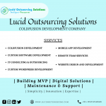 ColdFusion Development Company In India | Lucid Outsourcing Solutions